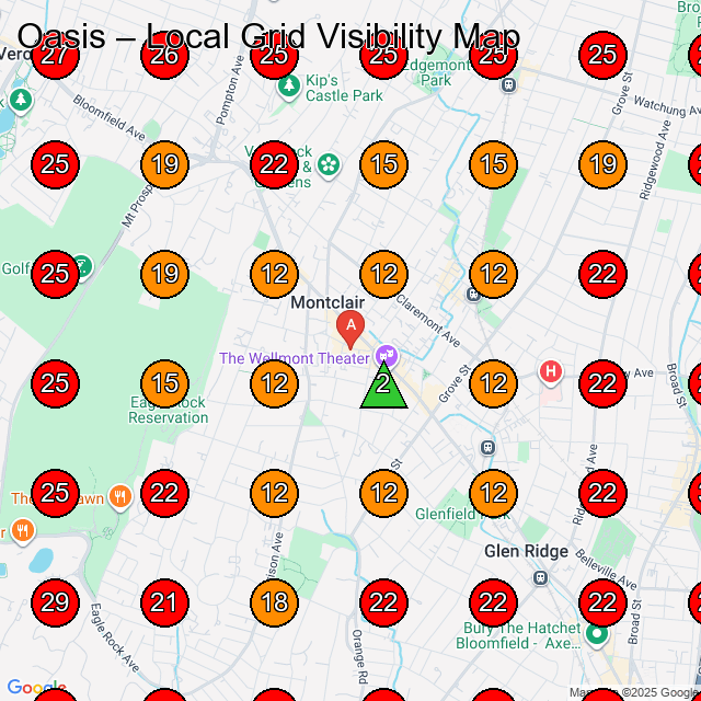 Oasis GeoGrid visibility map for Clothing Store in Newark